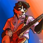 bass_guitar bernese_mountain_dog canid canine canis cemagcre domestic_dog guitar hi_res male mammal molosser mountain_dog musical_instrument plucked_string_instrument solo string_instrument swiss_mountain_dog 