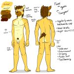  1:1 anthro balls circumcised english_text flaccid fuze fuzeyeen genitals hi_res humanoid_genitalia humanoid_penis hyaenid male mammal model_sheet navel nipples nude penis pubes simple_background solo spotted_hyena text white_background 