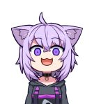  1girl :3 :d ahoge animal_ear_fluff animal_ears breasts cat_ears collar face hair_between_eyes hololive hololive_gamers hood hoodie kagelantern looking_at_viewer nekomata_okayu onigiri_print open_mouth purple_eyes purple_hair smile solo transparent_background upper_body virtual_youtuber wide-eyed 