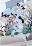  anthro anus avian balls exhibitionism genitals girly hi_res male nipples nude pawpads re-sublimity-kun solo uniball wings 