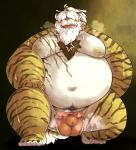  2020 absurd_res anthro asian_clothing balls balls_outline belly blush bodily_fluids bulge chiro_(artist) clothing east_asian_clothing felid fundoshi genital_outline genitals hi_res japanese_clothing kemono male mammal moobs musk navel nipples obese obese_anthro obese_male overweight overweight_anthro overweight_male pantherine penis_outline solo sweat tiger underwear 