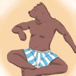  1:1 2007 anthro brown_body brown_fur eyes_closed fur kemono low_res male mammal navel simple_background sitting underwaer unknown_artist ursid 