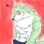  1:1 2007 anthro barazoku black_nose blush bulge canid canine canis clothing digital_media_(artwork) fur kemono low_res male mammal muscular muscular_male nipples oekaki sketch underwear unknown_artist white_body white_fur wolf 