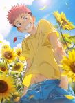  1boy beitemian blue_pants brown_eyes brown_hair facial_mark floral_background flower from_below highres itadori_yuuji jujutsu_kaisen looking_at_viewer male_focus midriff_peek outdoors pants petals pink_hair shirt short_hair sky smile solo spiked_hair sunflower sunlight undercut whistle whistle_around_neck wind wind_lift yellow_shirt younger 
