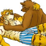  1:1 2007 anthro barazoku brown_body brown_fur bulge canid canine canis clothing domestic_dog duo felid fur himachi humanoid_hands kemono male male/male mammal pantherine simple_background tiger underwear white_background 