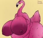  absurd_res anthro areola avian big_breasts bird breasts female flamingo grumpy_feathers hi_res huge_breasts hyper hyper_breasts mature_female nipples nude overweight overweight_female simple_background ximena yellow_background 
