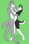  anthro black_body black_fur blue_eyes brutus_(bengi) canid canine canis dancing domestic_dog duo facial_piercing fur grey_body grey_fur hand_holding hazbinangel hi_res husky male male/male mammal nordic_sled_dog nose_piercing nude piercing rivey_ravenheart septum_piercing spitz white_body white_fur wolf 