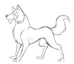  akela all_fours ambiguous_gender black_and_white black_background canid canine canis chin_fur feral jungle_book_shōnen_mowgli looking_away mammal monochrome simple_background sketch smile solo thegreatmatsutzu wolf 