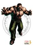  capcom final_fight male marvel_vs_capcom marvel_vs_capcom_3 mike_haggar 