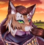  anonymous_artist anthro bethesda_softworks brown_hair clothed clothing detailed_background felid fungus fur green_eyes hair jewelry khajiit male mammal mushroom orange_body orange_fur robe sky solo striped_body striped_fur stripes sunset the_elder_scrolls video_games 