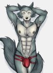  absurd_res anthro armpit_hair beastars body_hair bulge canid canine canis clothed clothing fur hair hi_res kintraz legoshi_(beastars) looking_at_viewer male male/male mammal muscular muscular_anthro muscular_male nipples pecs presenting pubes simple_background smile solo speedo swimwear topless underwear wolf 