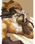  1boy absurdres animal_ear_fluff animal_ears ass bara black_fur blurry blurry_background boogbogex brown_eyes brown_fur chest_hair dog_boy dog_ears dog_tail elbow_rest fangs furry haki_(boogbogex) highres legs_up light_smile looking_at_viewer male_focus muscular muscular_male orange_fur original pectoral_press pectorals short_hair solo tail whiskers white_fur 