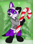  anthro black_paws candy canid canine canis clothing dessert domestic_dog elkhound floppy_ears food footprint fur hi_res holiday_dressed holiday_greeting holiday_message holidays hoodie male mammal pawalo pawprint paws_(artist) purple_body purple_fur solo spitz topwear 