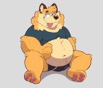  2020 absurd_res anthro belly blush bulge canid canine clothing fox hi_res male mammal naughtty_fox navel overweight overweight_anthro overweight_male shirt solo tongue tongue_out topwear underwear 