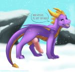  activision balls christmas dragon feral fightmeatpax genitals hi_res holidays knot male penis purple_dragon ribbed_penis snow solo spyro spyro_the_dragon video_games winter 