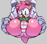  amy_rose anthro anus_outline blush butt camel_toe carrying classic_amy_rose classic_sonic_(universe) clothing cragscleft duo female lifted low_res panties sonic_the_hedgehog_(series) underwear 