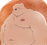  2020 anthro belly blush bodily_fluids fur hi_res kemono kwzu male mammal moobs navel nipples overweight overweight_anthro overweight_male solo sweat ursid white_body white_fur 