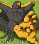  2011 4_toes abs accipitrid accipitriform anisodactyl anthro avian barefoot bird black_body black_feathers eagle english_text eyes_closed feathered_wings feathers featureless_crotch hands_behind_head lying male on_back solo tan_(artist) tan_(character) text toes wings yellow_feet 