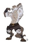  abs anthro belt biceps black_nose bottomwear canid canine canis clothing digital_media_(artwork) fur furrybob hair hi_res male mammal multicolored_body multicolored_fur muscular muscular_anthro muscular_male nipples pecs scar shorts simple_background solo striped_body stripes were werecanid werecanine werewolf white_background wolf 