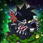  1:1 candy candy_cane canid canine canis christmas dessert fatelessknight feral food fur holidays hybrid male mammal multi_color_eyes multicolored_body multicolored_fur one_eye_closed sirius_hoshi_skaarsgard wink wolf 