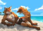  2020 abs anthro athletic athletic_anthro athletic_male barefoot beach black_clothing black_nose black_swimwear blue_eyes canid canine clothed clothing countershade_face countershade_torso countershading day digital_media_(artwork) fluffy fluffy_tail fox fur inner_ear_fluff koul looking_aside lying male mammal muscular muscular_anthro muscular_male on_ground on_sand on_side orange_body orange_fur outside palm_tree plant raised_tail sand seaside sky smile solo swimming_trunks swimwear topless topless_male tree tuft water wet wet_body wet_fur wet_tail whiskers white_body white_fur 