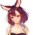  1girl animal_ear_fluff animal_ears bare_shoulders breasts calm_mashiro cleavage closed_mouth collarbone hound_(sekaiju) looking_at_viewer orange_eyes portrait red_hair sekaiju_no_meikyuu sekaiju_no_meikyuu_5 short_hair simple_background solo vest white_background 