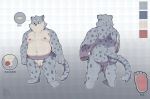  2020 absurd_res anthro balls belly butt distracting_watermark felid flaccid genitals hi_res kemono male mammal moobs navel nipples overweight overweight_anthro overweight_male pantherine penis piero03432812 snow_leopard solo watermark 