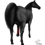 1:1 absurd_res anatomically_correct anatomically_correct_anus anatomically_correct_genitalia anatomically_correct_penis animal_genitalia animal_penis anus backsack balls black_balls black_body butt dessert doughnut equid equine equine_penis feral food genitals hi_res hooves horse looking_at_viewer looking_back male mammal mane muscular muscular_feral muscular_male muscular_thighs orange_eyes penis pink_penis presenting presenting_anus presenting_balls presenting_hindquarters presenting_penis proboscis_(anatomy) raised_tail realistic solo trunk_(anatomy) wildtail_(artist) 