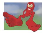  2020 5_toes alpha_channel barefoot blurred_background bodily_fluids featureless_crotch feet foot_focus hi_res humanoid_feet knuckles_the_echidna looking_at_viewer male nude red_body rokie38 solo sonic_the_hedgehog_(series) sweat sweatdrop toes 