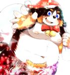  2020 balls belly bernese_mountain_dog black_body black_fur blue_eyes blush brown_body brown_fur canid canine canis christmas christmas_clothing christmas_headwear clothing domestic_dog fur genitals hat headgear headwear hi_res holidays kemono male mammal molosser moobs mountain_dog navel nipples overweight overweight_male santa_claus santa_hat swiss_mountain_dog tsurugi white_body white_fur 