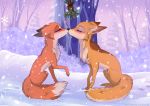  &lt;3 2020 black_nose brown_body brown_fur canid canine day detailed_background digital_media_(artwork) duo eyebrows eyelashes feale feral forest fox fur male mammal outside paws plant rukifox sitting snow tan_body tan_fur text tree url 
