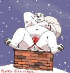  2020 anthro belly bulge christmas clothing fur hi_res holidays jockstrap kemono male mammal maron2475 moobs navel nipples outside overweight overweight_anthro overweight_male polar_bear santa_claus snow snowing solo underwear ursid ursine white_body white_fur 