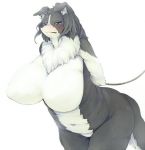  2018 anthro arms_tied bdsm big_breasts black_body black_fur black_hair blue_eyes blush bodily_fluids bondage border_collie bound breasts canid canine canis chain clenched_teeth collie domestic_dog featureless_breasts female fur hair hands_behind_back herding_dog huge_breasts kemono kimubota leaning leaning_forward mammal multicolored_body multicolored_fur naturally_censored navel neck_tuft nude pastoral_dog sheepdog simple_background slightly_chubby solo tears teeth tuft two_tone_body two_tone_fur white_background white_body white_fur 