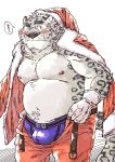  2020 anthro belly blush bottomwear bulge christmas clothing costume felid hi_res holidays kemono male mammal navel nipples overweight overweight_anthro overweight_male pantherine pants ryuta-h santa_costume simple_background snow_leopard solo underwear 