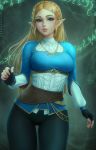  mirco_cabbia pointy_ears princess_zelda tagme the_legend_of_zelda 