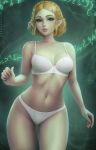  bra mirco_cabbia pantsu pointy_ears princess_zelda the_legend_of_zelda 