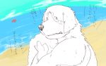  2014 anthro beach canid canine canis domestic_dog japanese_text kemono kotori male mammal outside seaside sketch slightly_chubby solo text water 