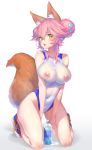  animal_ears fate/grand_order hong_(white_spider) kitsune nipples see_through swimsuits tail tamamo_no_mae wet 