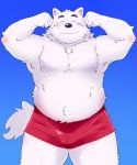  2014 anthro belly black_nose bottomwear canid canine canis clothing domestic_dog eyes_closed fur humanoid_hands kemono launcher_r male mammal nipples overweight overweight_anthro overweight_male shorts solo white_body white_fur 