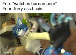  3d_(artwork) blue_body blue_fur blurred_background blurred_foreground clothing digital_media_(artwork) english_text female fur hi_res humor krystal meme nintendo punch shitpost solo source_filmmaker star_fox tagme text thesp97 video_games white_body white_fur 