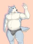  2020 absurd_res anthro belly black_nose bulge canid canine canis clothing domestic_dog eyes_closed hi_res humanoid_hands husky kemono male mammal moobs navel nipples nordic_sled_dog overweight overweight_anthro overweight_male shiroi&#039;s_public_investigation simple_background solo spitz underwear zenon_s2017 