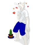 &lt;3 2007 3:4 anthro blush bottomwear cactus canid canine canis clothing humanoid_hands male mammal plant shirt shorts solo tartare topwear wolf wolf64 