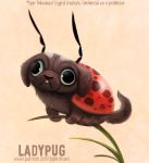  2020 ambiguous_gender antennae_(anatomy) arthropod beetle black_eyes blep brown_body brown_fur canid canine canis cryptid-creations cucujoid domestic_dog english_text feral fur grass humor hybrid insect ladybug mammal molosser plant pug pun red_body simple_background small_molosser solo tan_background text tongue tongue_out toy_dog url visual_pun 