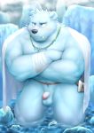  2020 balls barazoku black_nose blush genitals humanoid_genitalia humanoid_penis ice kemono male mammal muscular muscular_male nazimi00 outside penis polar_bear ursid ursine water 