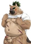  2020 anthro balls belly blush canid canine canis clothed clothing domestic_dog erection genitals hi_res humanoid_genitalia humanoid_hands humanoid_penis kemono male mammal moobs navel nipples open_clothing open_shirt open_topwear overweight overweight_anthro overweight_male penis rossciaco scar shirt solo tokyo_afterschool_summoners topwear video_games yasuyori 