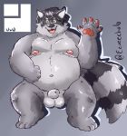  2020 absurd_res anthro balls belly black_body black_fur black_nose eeveecholo fur genitals grey_body grey_fur hi_res humanoid_hands male mammal moobs navel nipples overweight overweight_anthro overweight_male penis procyonid raccoon solo 