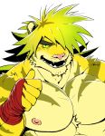  1boy animal_ears bara belly black_eyes blonde_hair ezaki_papiko furry green_sclera highres looking_at_viewer macan_(tokyo_houkago_summoners) male_focus muscular muscular_male nipples pectorals plump pointing pointing_at_self smirk solo thick_eyebrows tiger_boy tiger_ears tokyo_houkago_summoners upper_body white_background yellow_fur 