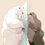  1:1 2020 anthro balls belly blush brown_body brown_fur dumdum duo erection fur genitals hi_res kemono licking male male/male mammal moobs nipples overweight overweight_male penis polar_bear small_penis tongue tongue_out ursid ursine white_body white_fur 