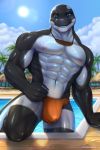  abs akamai anthro biceps big_bulge big_muscles black_body black_skin blue_eyes bulge cetacean clockhands clothing cloud delphinoid detailed_background glistening hi_res jewelry looking_at_viewer male mammal marine muscular muscular_anthro muscular_male necklace nipples oceanic_dolphin orca outside palm_tree pecs pink_nipples plant smile solo sun swimming_pool swimwear teeth toothed_whale tree triceps wet white_body white_skin 