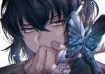  1boy bangs black_hair bug butterfly green_eyes hair_between_eyes hand_wraps hashibira_inosuke hemvanilla1 highres holding holding_sword holding_weapon insect katana kimetsu_no_yaiba looking_away male_focus portrait reverse_grip short_hair simple_background solo sword weapon white_background 